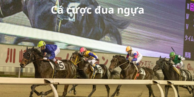 cá cược đua ngựa