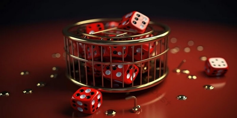 Dành thời gian chơi thử vài ván Bonus Dice với cấp độ đơn giản