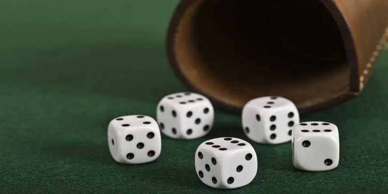 Hướng dẫn chơi Bonus Dice chuẩn theo luật phổ biến hiện nay