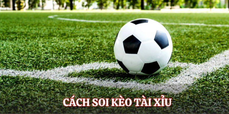 Mẹo soi kèo tài xỉu