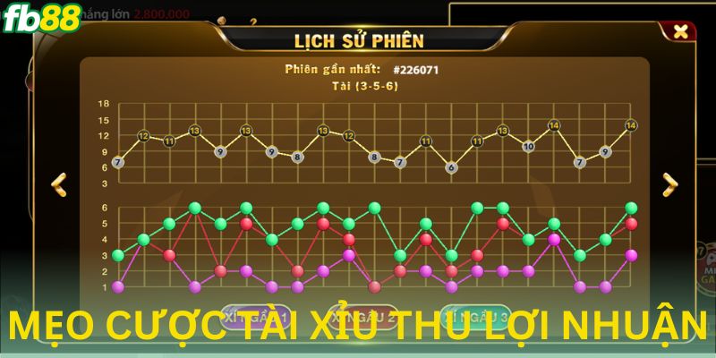 Tổng hợp mẹo đặt cược tài xỉu để thu lợi lớn